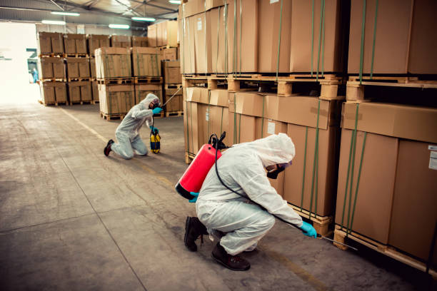 Best Pest Prevention Services  in Mattoon, IL