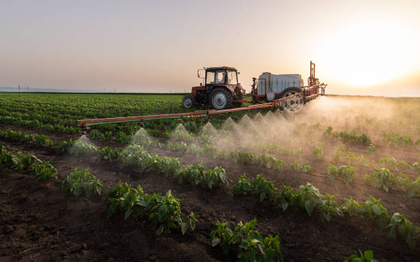 Best Commercial Pest Control Services  in Mattoon, IL