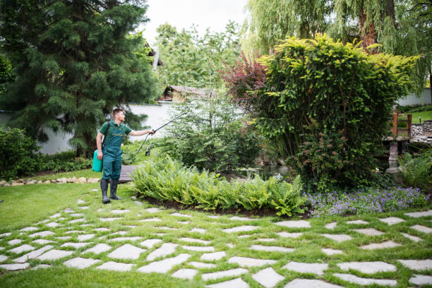Reliable Mattoon, IL Pest Control Solutions
