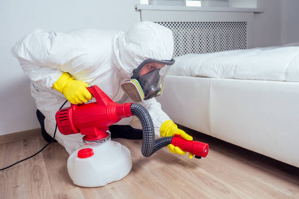 Best Exterminator Services  in Mattoon, IL