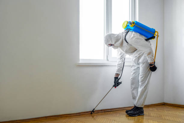 Best Bed Bug Extermination  in Mattoon, IL