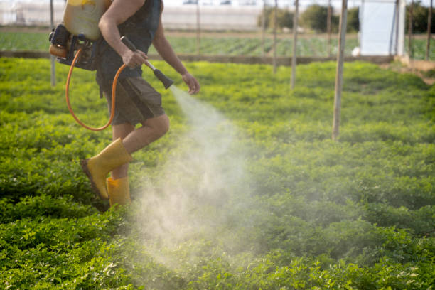 Best Exterminator Services  in Mattoon, IL