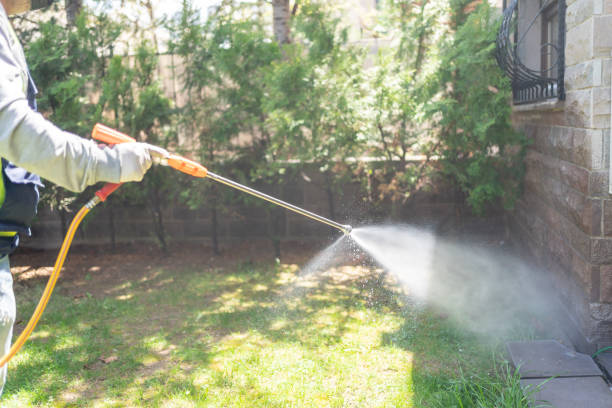 Best Termite Control Services  in Mattoon, IL