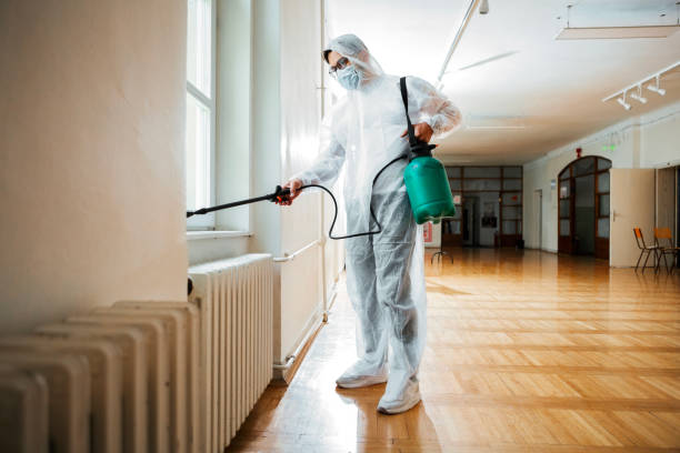 Best Emergency Pest Control  in Mattoon, IL