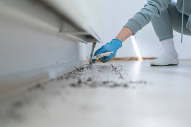 Best Cockroach Control Services  in Mattoon, IL