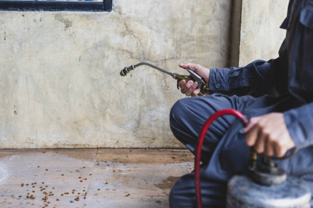 Best Best Pest Control Companies  in Mattoon, IL